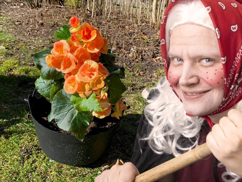 Kittlande blomsterarrangemang till påsk