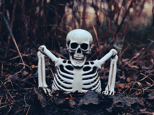 Smycka hus och trädgård till halloween