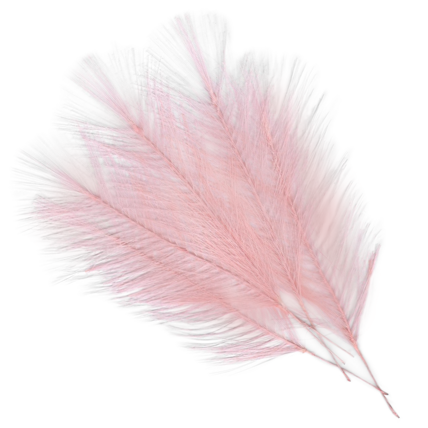 Tygfjädrar, rosa 5 st