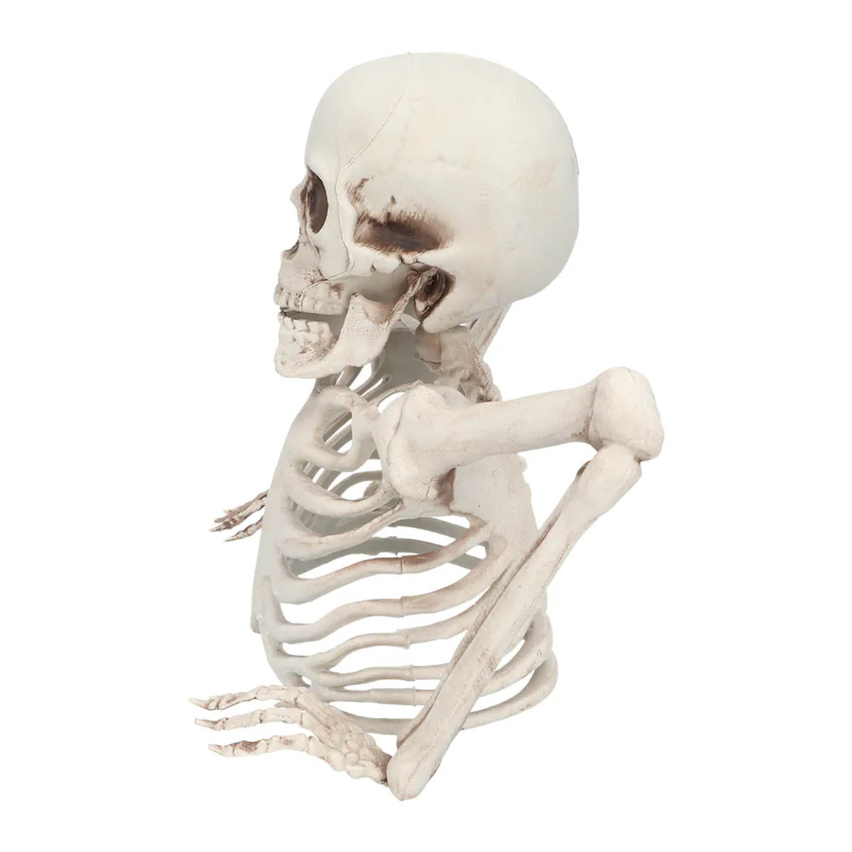 Prop, skeleton groundbreaker 20 cm
