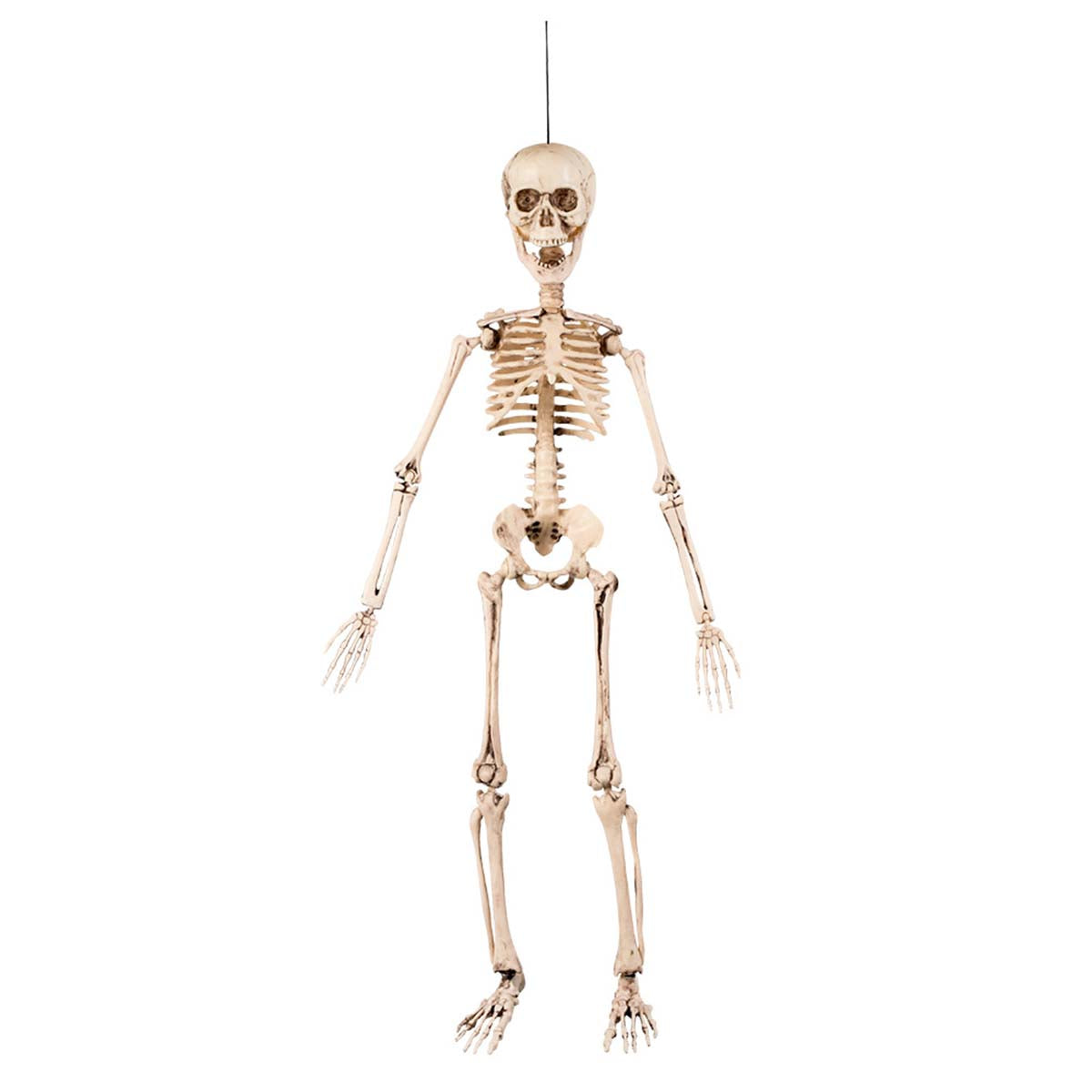 Prop, hängande skelett 50 cm