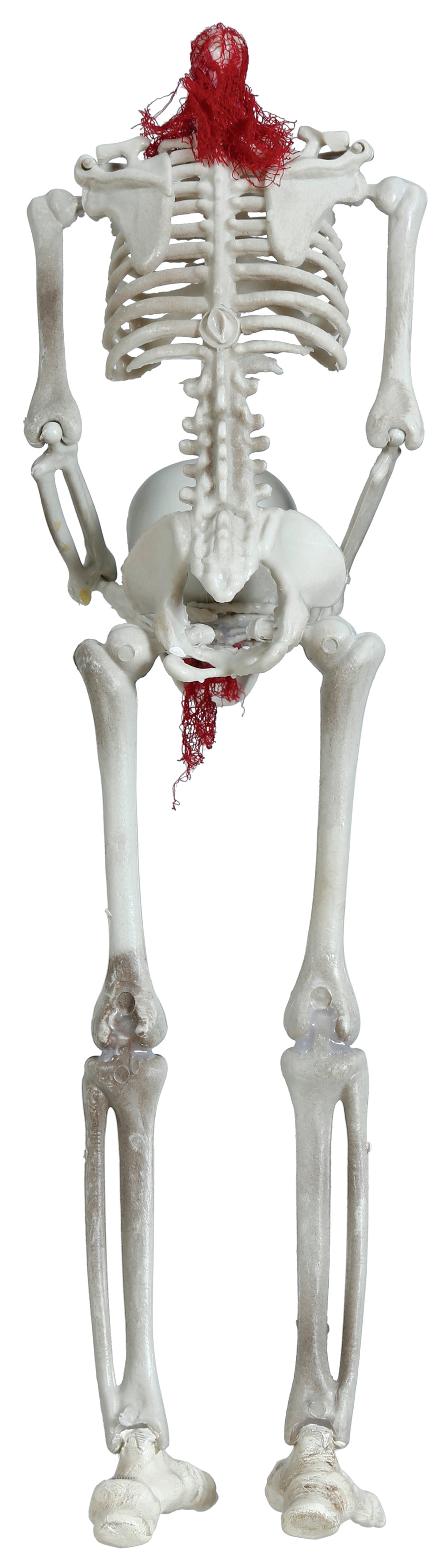 Prop, hängande skelett 37 cm