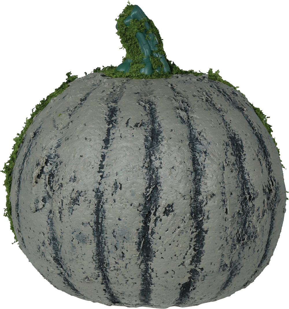 Pumpa med mossa, 20 cm