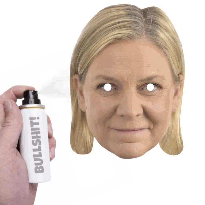 Pappmasker, partiledarkit