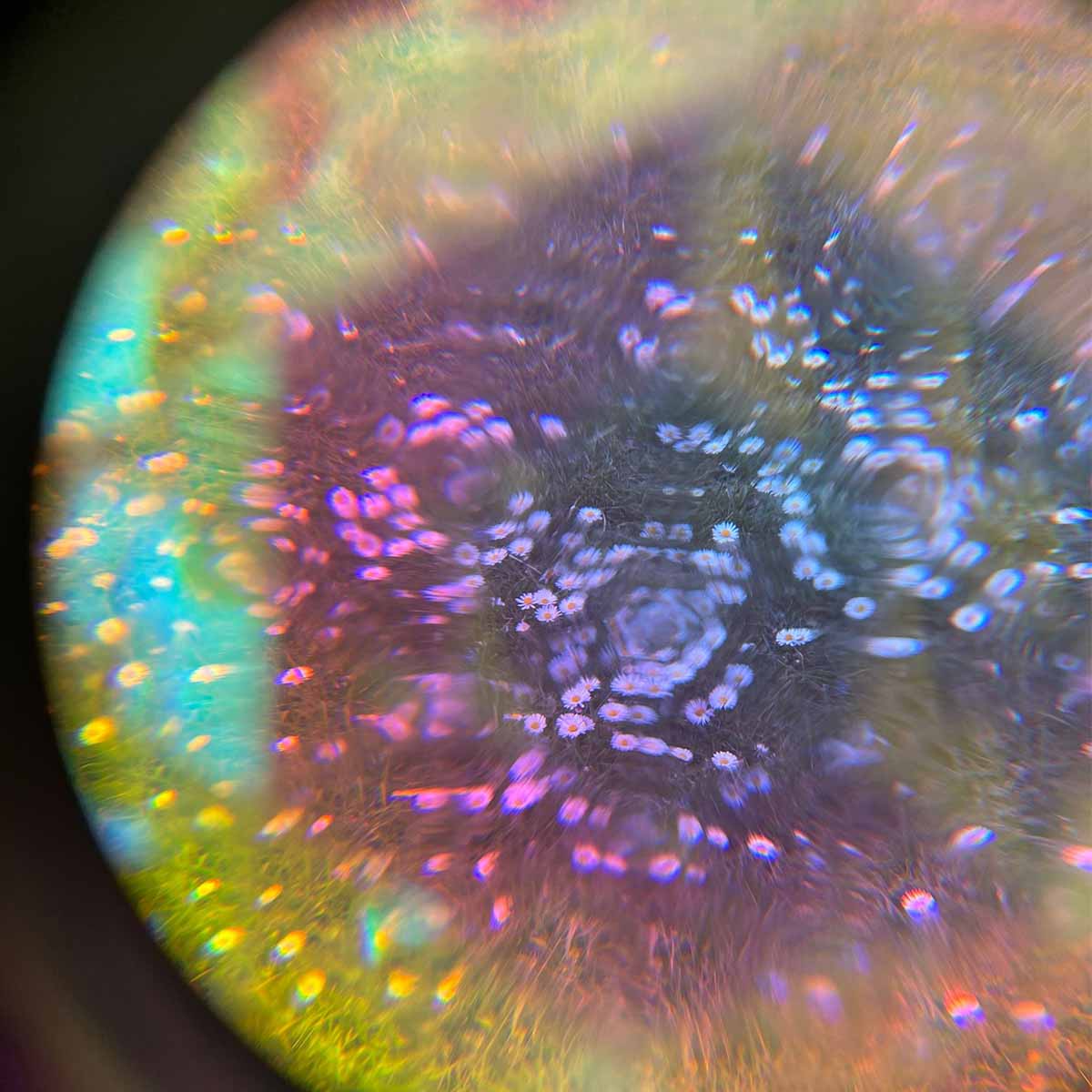 Glasögon, Mirage rainbow