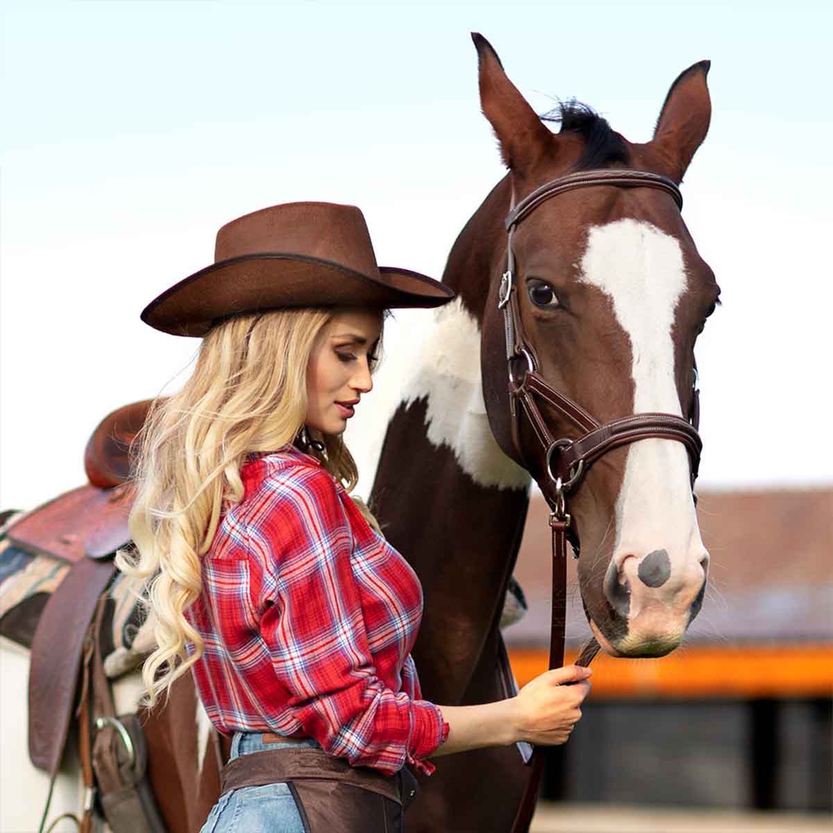 Cowboyhatt, rodeo brun