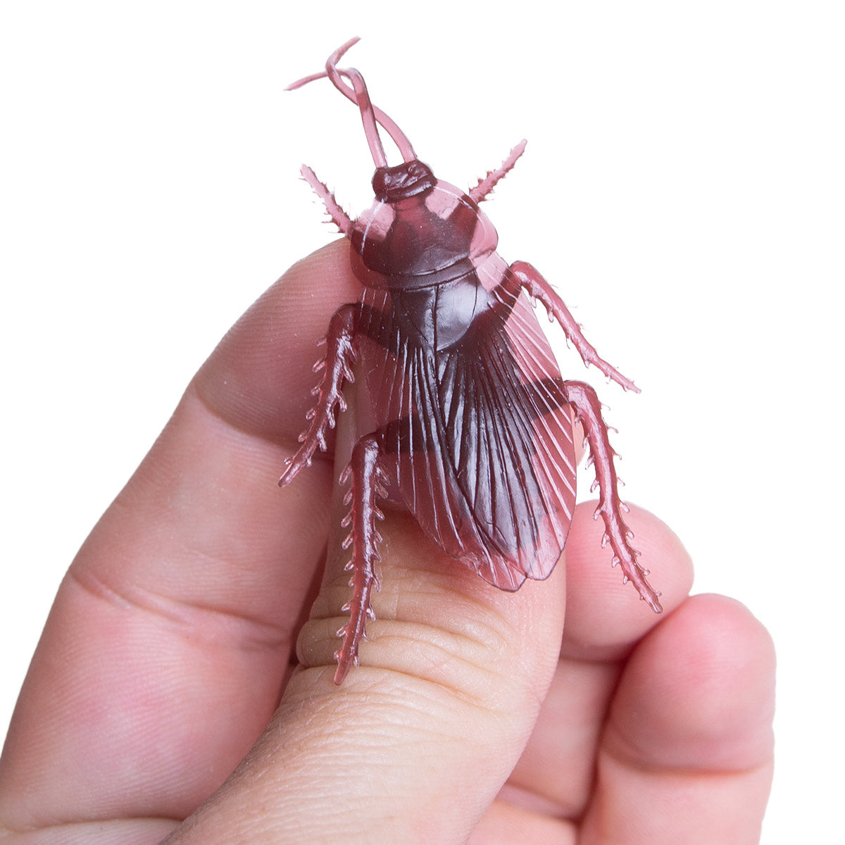 Kackerlacka