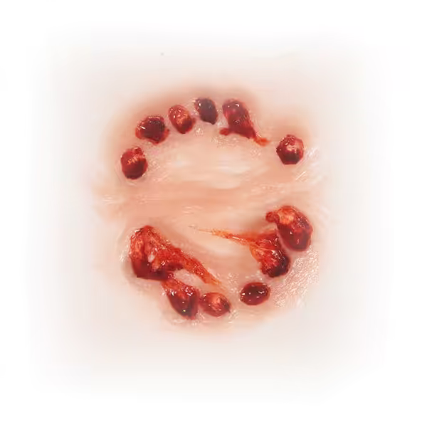 Small 3D FX Transfers - Big Bite