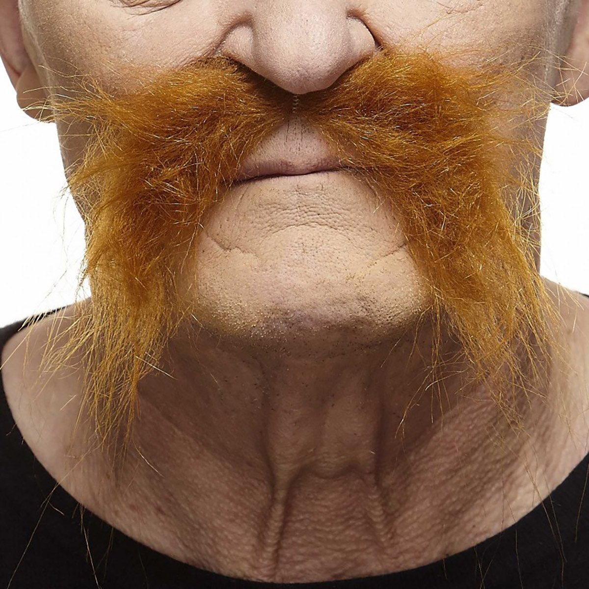 Mustasch, biker orange
