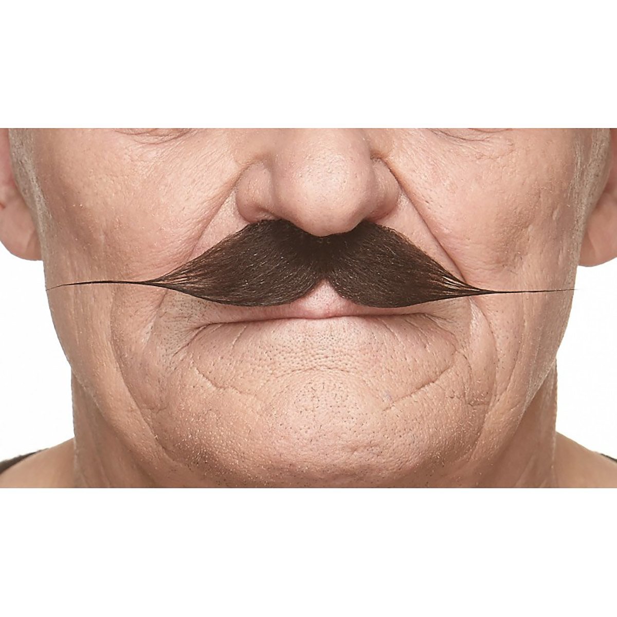 Mustasch, gentleman brun