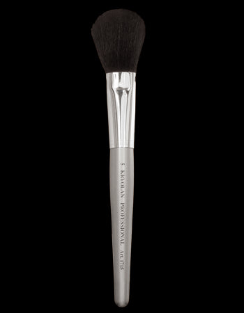 Professional powder brush 5