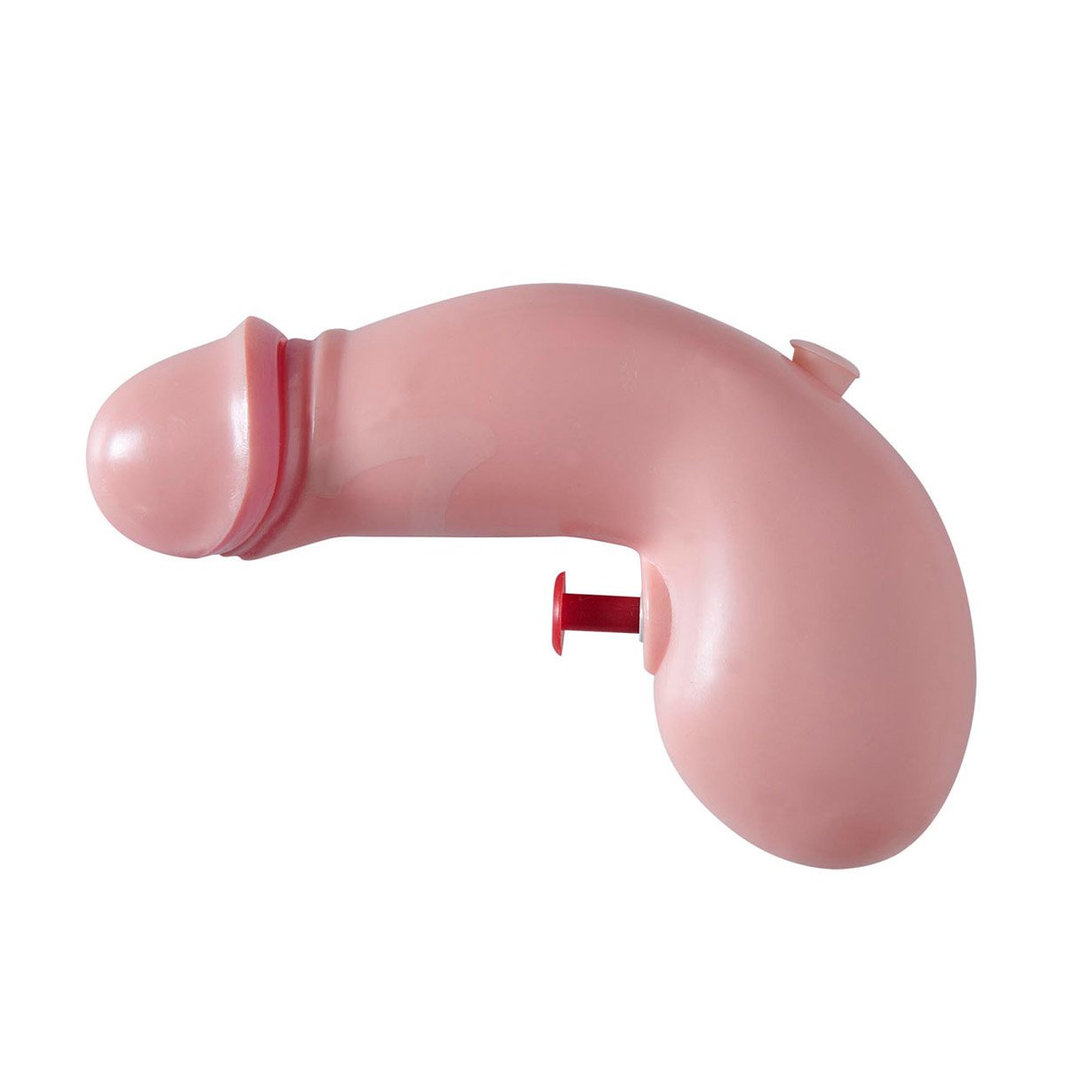 Vattenpistol, penis
