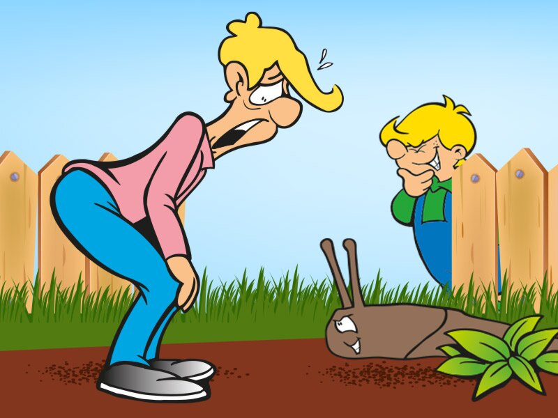Mördarsnigelns otursdag