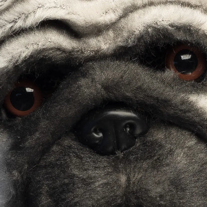 Djurmask, mops