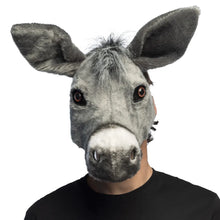 Djurmask, åsna