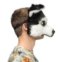 Djurmask, husky