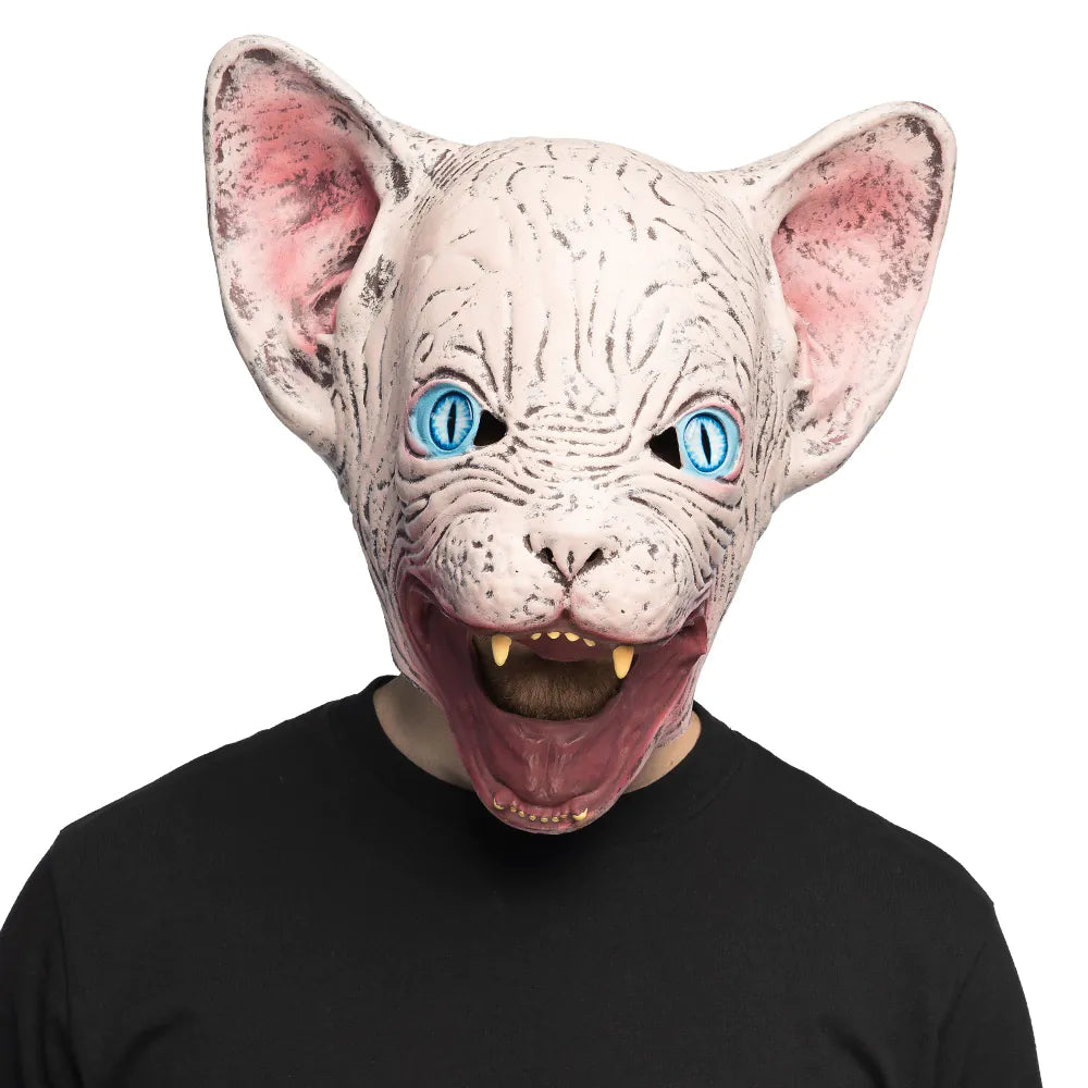 Latexmask, horror cat