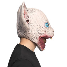 Latexmask, horror cat