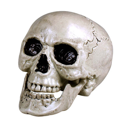 Dödskalle, Maxilla 17x17x24 cm