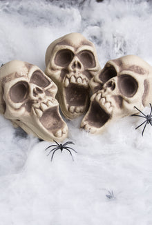 Dödskallar, 3 st i nät