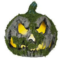 Pumpa med mossa, 20 cm
