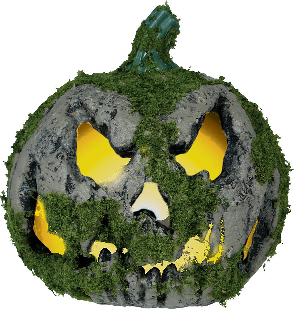 Pumpa med mossa, 20 cm