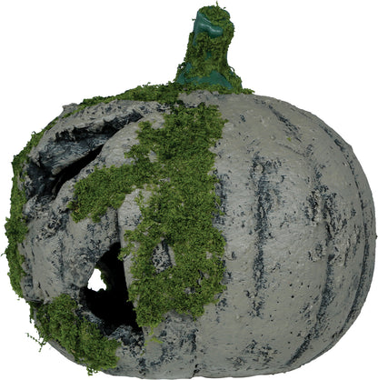 Pumpa med mossa, 20 cm