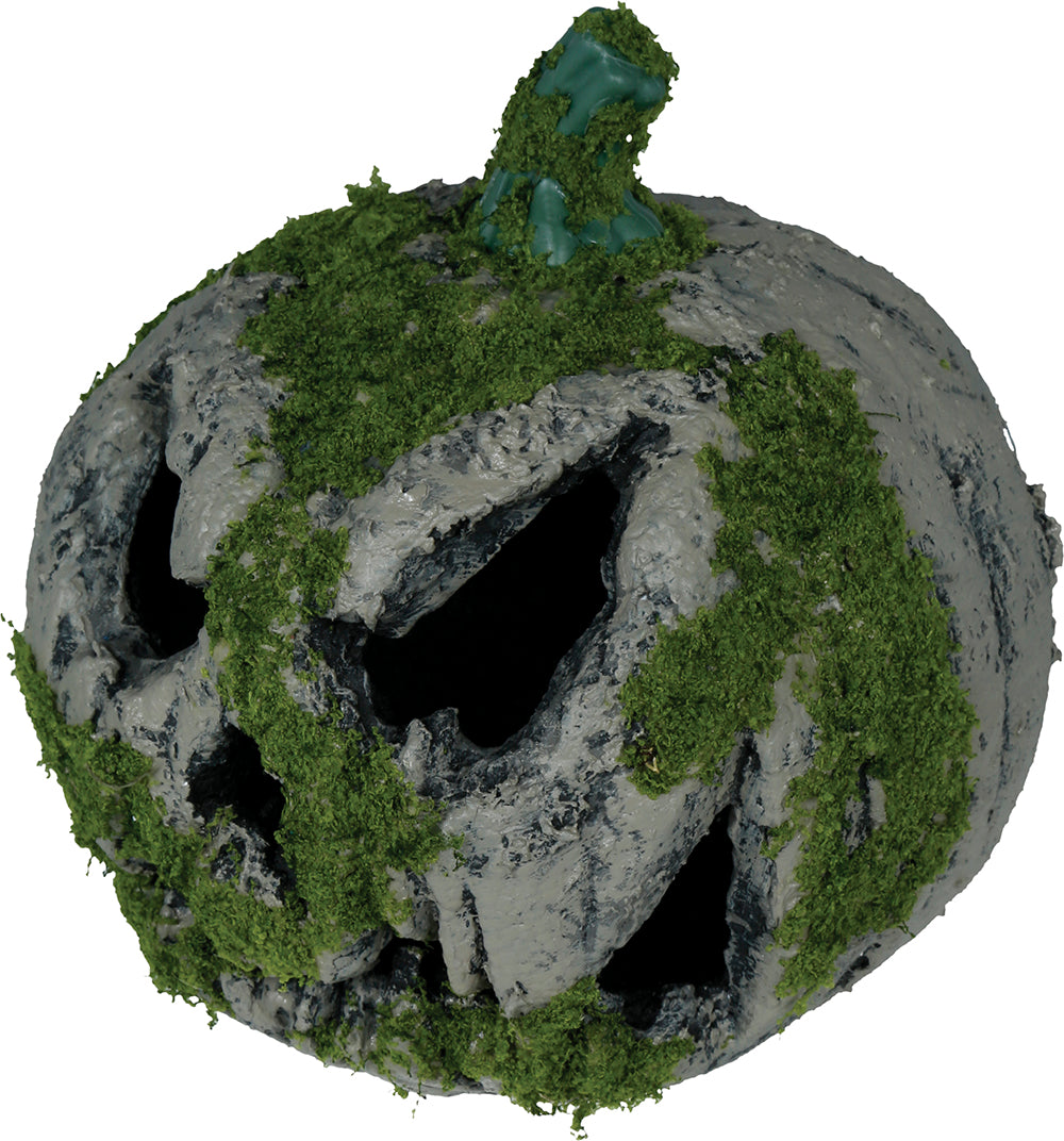 Pumpa med mossa, 20 cm