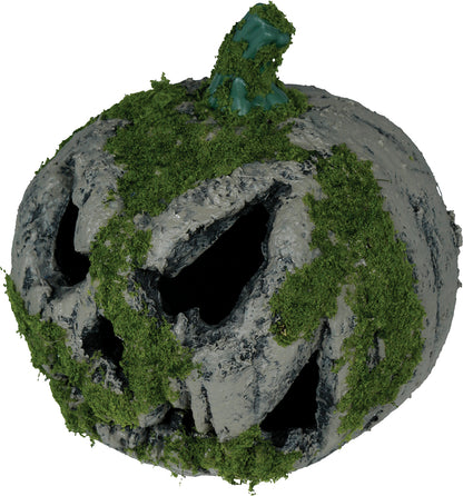 Pumpa med mossa, 20 cm