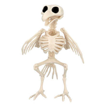 Prop, skelett fågel 20 cm