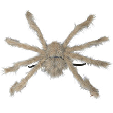 Spindel, hårig beige 75 cm