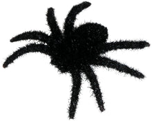 Håriga spindlar, 6 st