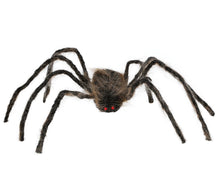 Spindel, hårig brun 75 cm