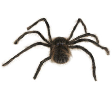 Spindel, hårig brun 75 cm