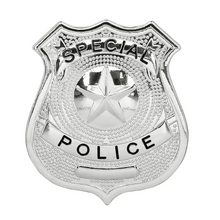 Polisbricka, Special police