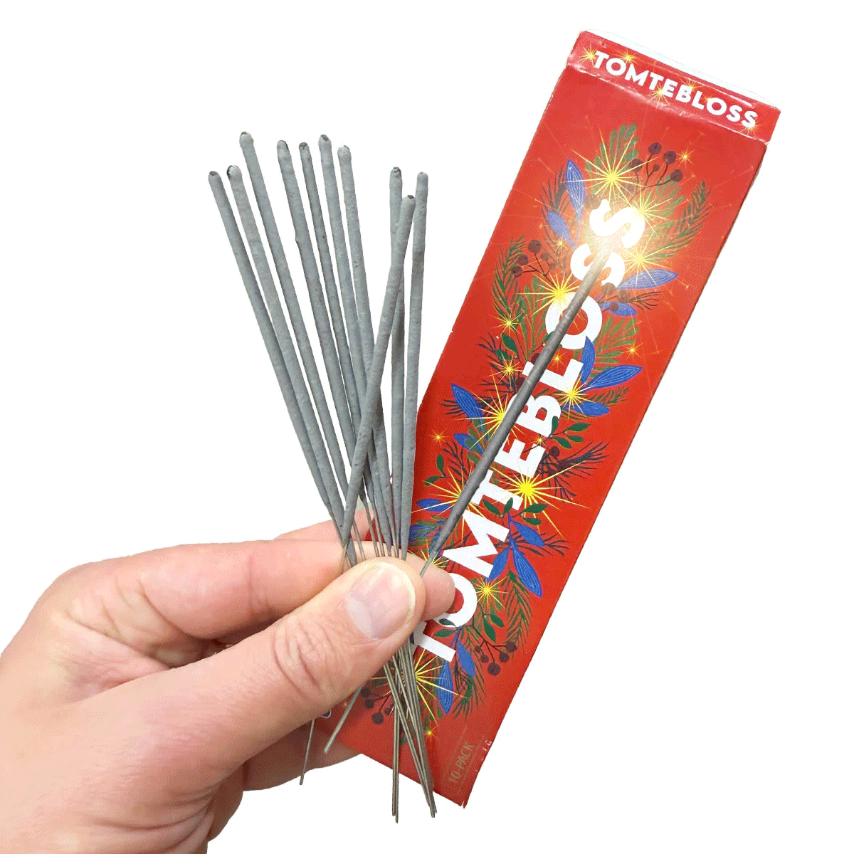 Tomtebloss i ask, 16 cm 10 st