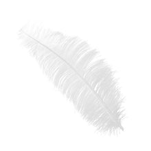 Plym, vita 12st 30 cm