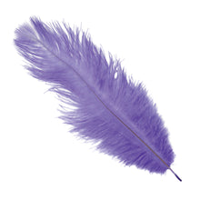 Plym, lila 12st 30 cm