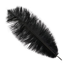 Plym, svarta 12st 30 cm