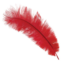 Plym, röda 12st 30 cm