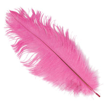 Plym, rosa 12st 30 cm