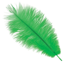 Plym, gröna 12st 30 cm