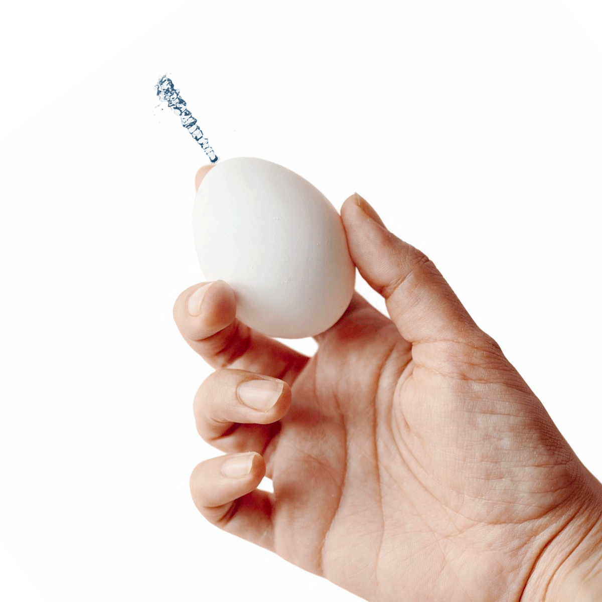 Sprutande ägg