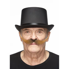 Mustasch, maestro brun