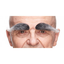 Ögonbryn, buskiga gråa