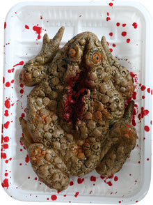 Prop, köttdisk padda 18x13 cm