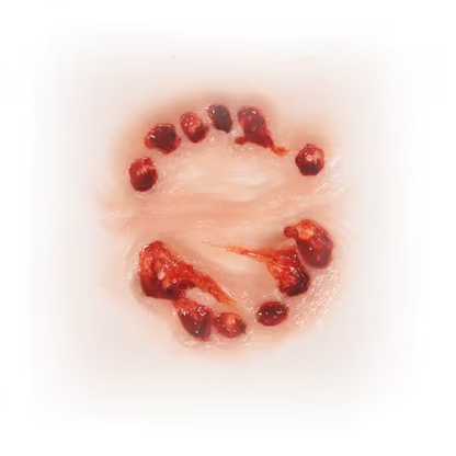 Small 3D FX Transfers - Big Bite