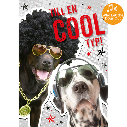 Dubbla kort med ljudeffekt, Cool typ