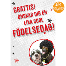 Dubbla kort med ljudeffekt, Cool typ