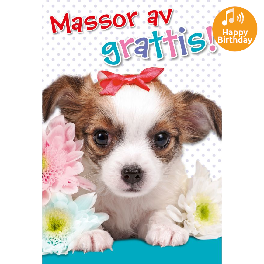 Dubbla kort med ljudeffekt, Härlig födelsedag